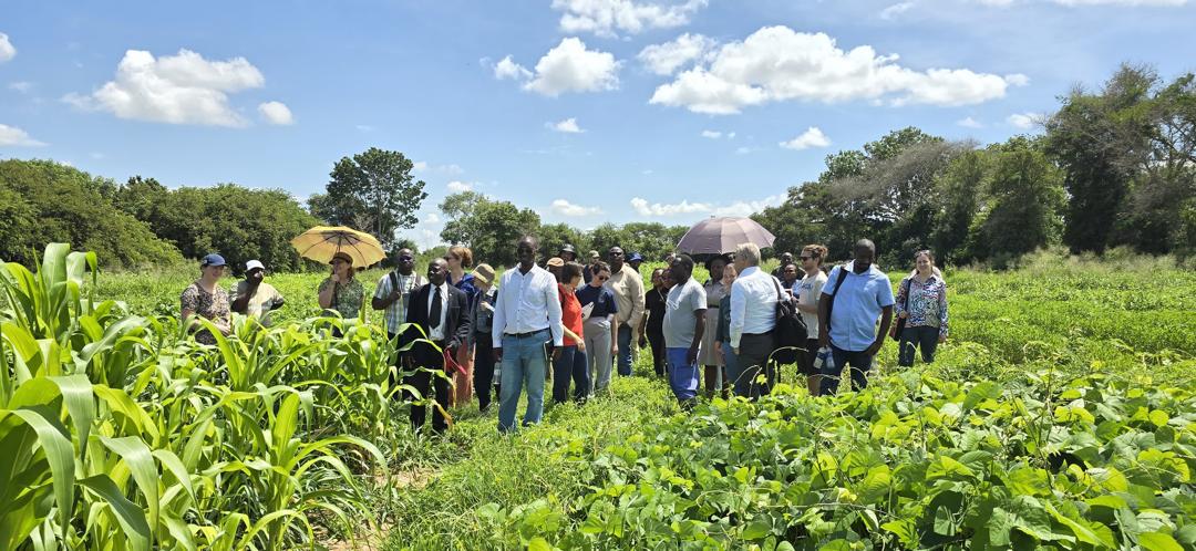 University of Zambia and Wageningen University PhD Students Tour Kasisi ...