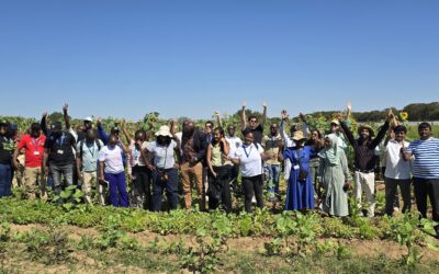 Ministry Representatives discuss Nature-based solutions at Kasisi