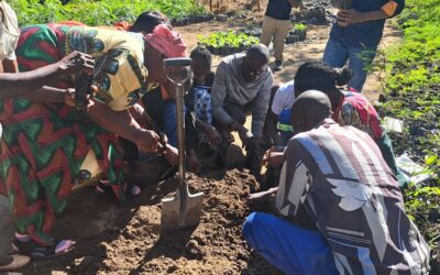 Kaoma Farmer’s Learning Visit for Agroforestry Integration