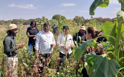 Natural Farming – Biodiversity on the next level